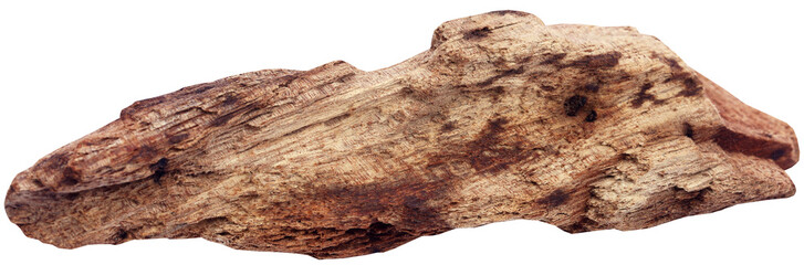Bog wood