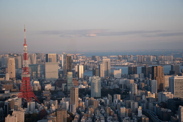 Sunset city view of Tokyo Tower/ Skyline