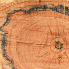 texture cut of old wood transverse