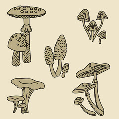 Set with mushrooms. Forest plants. Mushrooms linear sketch. Retro style. Isolated image, vector. Fly agaric, porcini mushroom, boletus, grebe, mushrooms.
