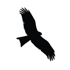 Eagle in flight silhouette vector, Eagle vector, eagle flying in the sky.