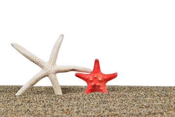 Starfish on the beach isolated on transparent background, PNG.
