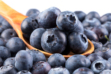 Blueberries on white background