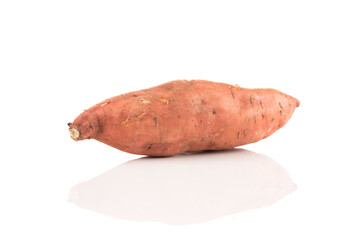 Sweet potato on the white background