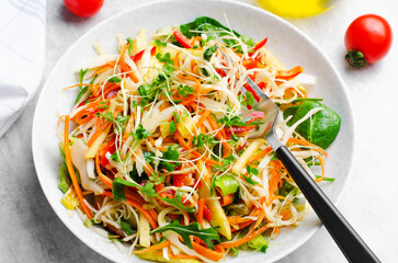 Fresh Vegetable Salad with Cabbage, Bell Pepper, and Carrot on Bright Background, Healthy Eating