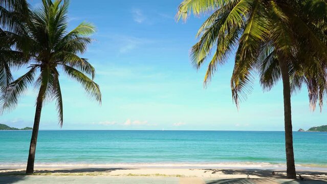 Tropical beach and blue sky background. Beach sea sky sun. Palm seaside resort. Coconut tree leaf shadows sandy clouds good summer. Tropical island Caribbean ocean. Text Space area.