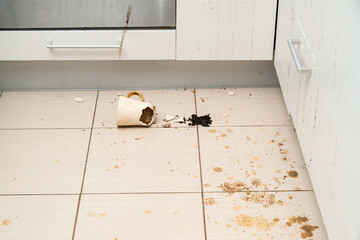 Broken tea cup laying on the kitchen floor, smashed coffee mug and coffee grounds all over the...