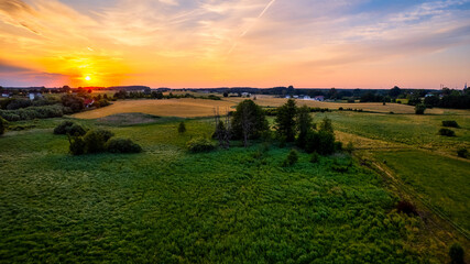 Immerse Yourself in the Majestic Scenery of Poland's Yellow Rapeseed Field at Sunset, with a Blue Sky as the Perfect Backdrop