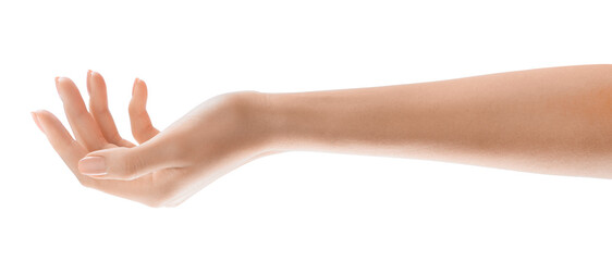 Hand holding something . Woman's hand isolated transparent PNG with perfectly manicured nails....