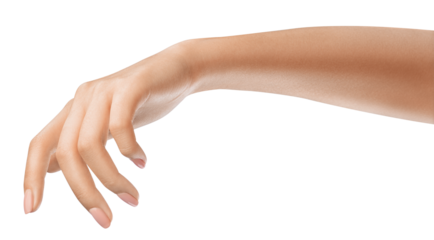 Beautifully female hand, concept for luxury cosmetology or social media-related content. Well-manicured hand holding. Nature or gardening-related promotions concept.