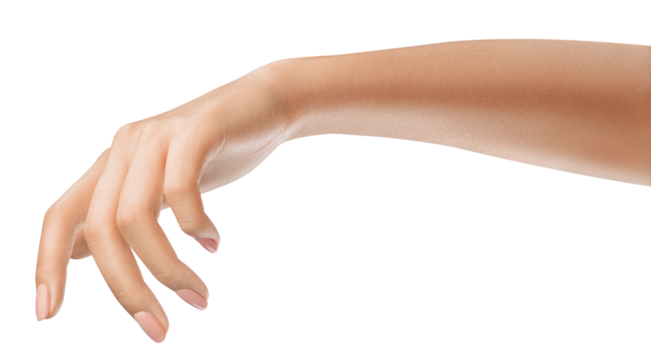 Beautifully female hand, concept for luxury cosmetology or social media-related content. Well-manicured hand holding. Nature or gardening-related promotions concept.