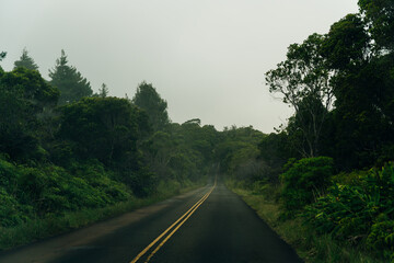Fototapeta na wymiar Winding fog road of the Waimea Canyon Drive on Kauai island, Hawaii