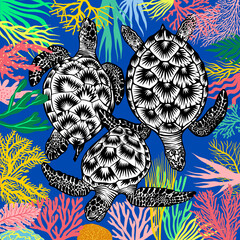 Beautiful Sea turtles swimming around a coral reef, Underwater Illustration, Vector Illustration, Square Format