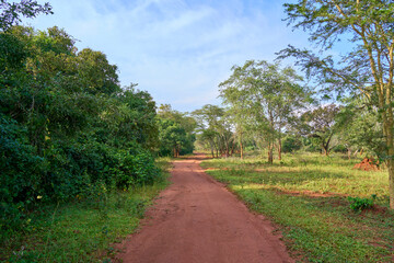 Fototapeta na wymiar A path in Ziwa Rhino Sanctuary, Uganda