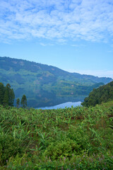 View of a lake in rural Uganda
