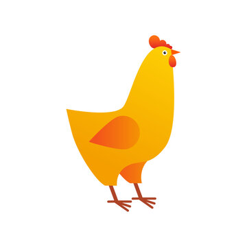 Cute chicken cartoon vector Illustration isolated on a white background.
