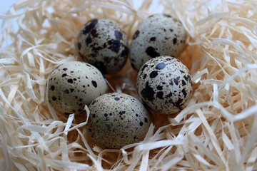 Obraz premium Closeup View Of Whole Quail Eggs In A Shavings Nest 