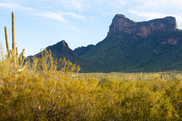 autumn in the mountains
