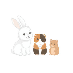 Rabbit, guinea pig and hamster, vector hand drawn illustrations with animal character
