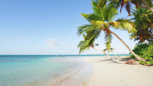 Sunny Mexican wild palm beach. Turquoise sea water and white sand landscape. Beautiful palm trees with bright leaves lean over a tropical beach with white coral sand. Trip to the summer tourist coast.