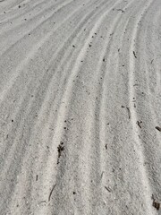 tracks in sand