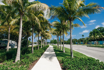 Fototapeta na wymiar A path among palm trees in a public park.