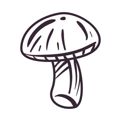flat mushroom design