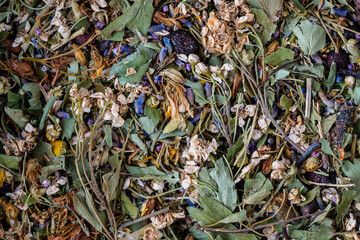 Dry flower and herbal tea leaves on background. Herbal collection of chamomile, cornflower, mint, lemongrass, wild rose and linden, top view, closeup