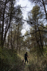 landscape of very thick Mediterranean forest, in the centre, in the area where it is lightening, the silhouette of a man and his dog, a man with a hat and warm clothes.