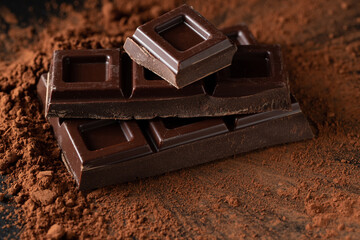 Dark and milk chocolate with nuts on a dark background sprinkled with cocoa powder.