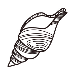 flat conch shell icon