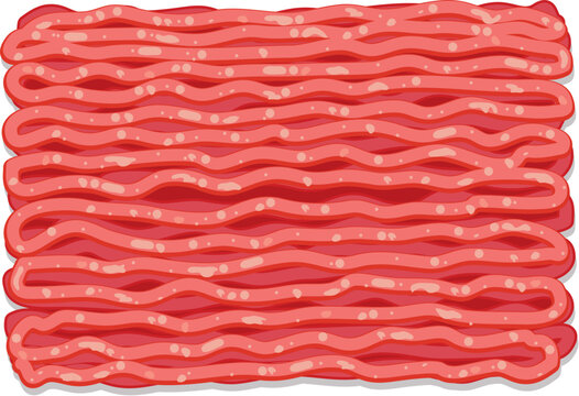 vector minced meat. ground raw meat