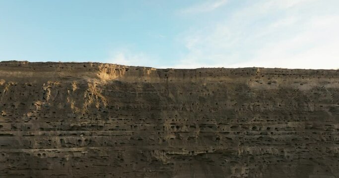 Nesting of burrowing parrots getting out of their nest inside the cliffs. El Condor, Patagonia Argentina