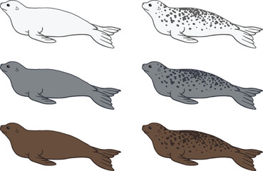 Spotted Seal Clipart Set - White, Grey and Brown
