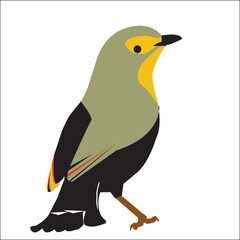 illustration of a cartoon bird