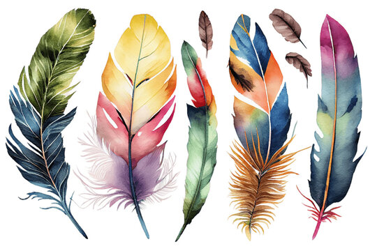 Set of watercolor bird feathers. Hand drawn illustration