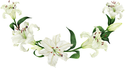Tropical floral watercolor arc with oriental white lilies, illustration