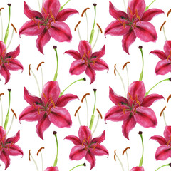 Stargazer lily watercolor pink seamless pattern
