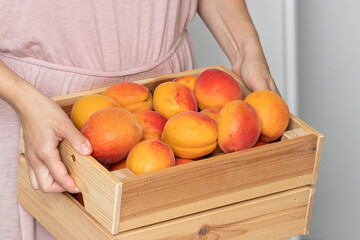 Young woman showing a wooden crate full of local bio apricots. Ripe apricot fruits piled up in a wooden box.