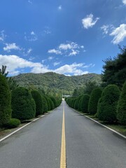 나주 구름 하늘 풀 나무 산림자원연구소