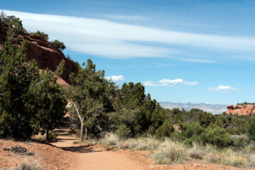 Trail in the Colorado National Monument