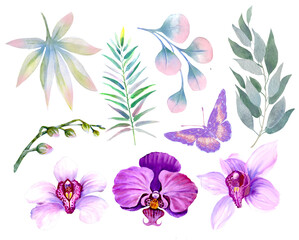 Set flowers orchids and leaves