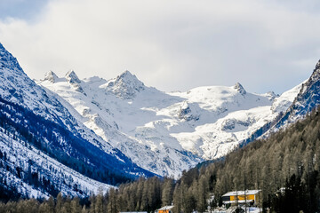 Pontresina, Val Bernina, Dorf, Berninapass, Val Roseg, Piz Bernina, Piz Roseg, Roseggletscher, Gletscher, Winter, Wintersport, Wanderweg, Langlauf, Oberengadin, Alpen, Graubünden, Schweiz