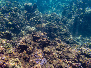 Maui, Hawaii