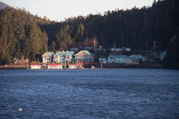 houses on the coastline