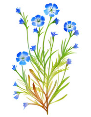 Fototapeta na wymiar Flax (linseed) plant isolated on white background. Generative AI illustration in watercolor style