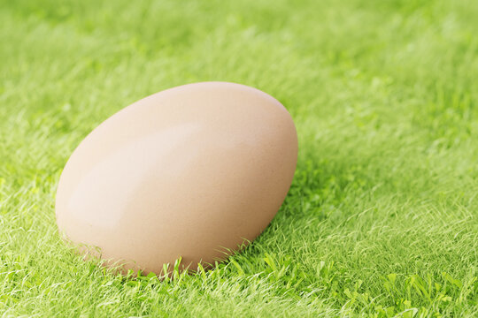 brown egg lies on the grass. 3d render.