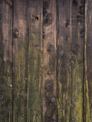 Wood old wall background