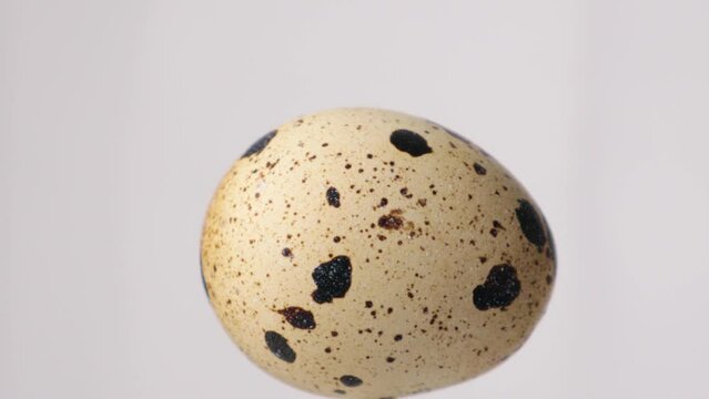 Quail eggs rotation on white background. Healthy food concept.