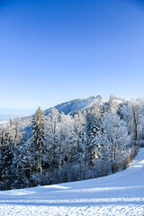 Verschneite schöne Aussicht mit Bergen